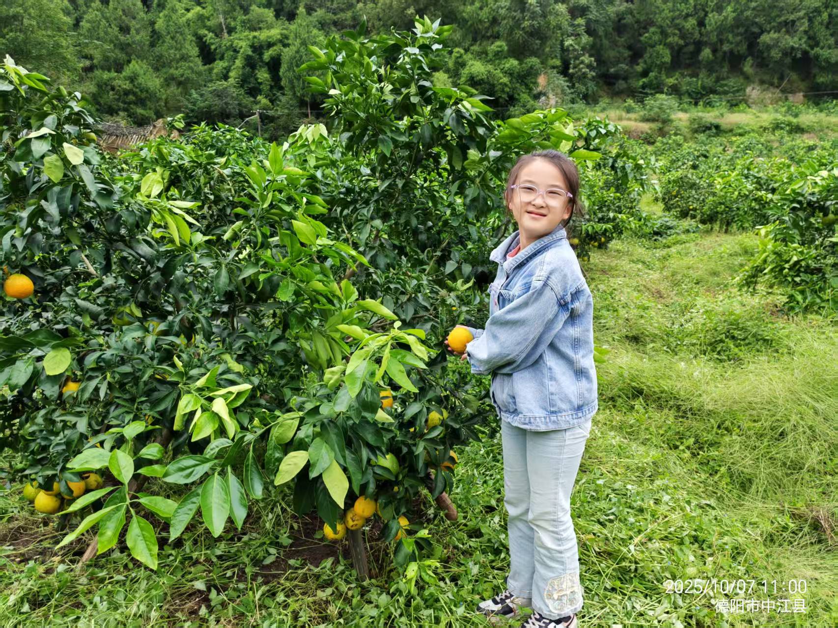 清晨养殖场全景,阳光洒在现代化养殖设施上,工人正在喂食动物